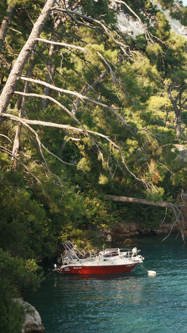 Comment choisir le meilleur financement pour votre bateau ?